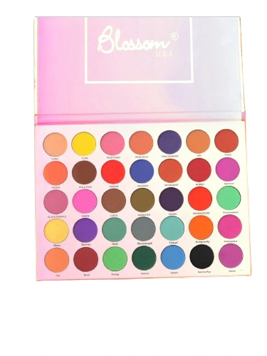 Blossom U.S.A 35 Color All Matte Eyeshadow