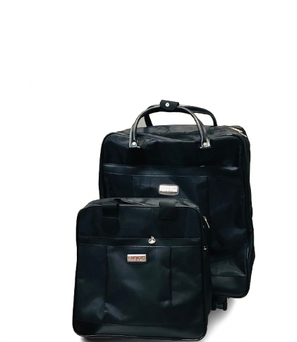 Guojun Makeup Box 2 In 1