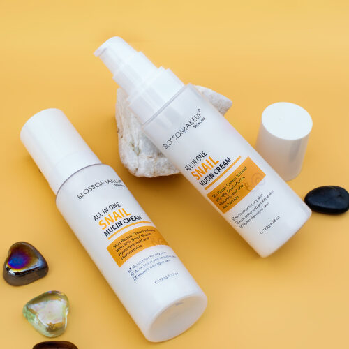 Blossom Makeup Skincare All In One Snail Mucin Cream