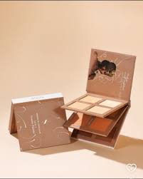 Sylvimak Shade Of Chocolate 12 In 1 Powder Pallete - New Park